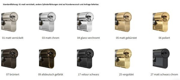 ABUS Profilzylinder D6XNP 35/55 inklusive 5 Schlüssel, 49469