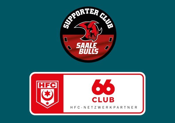 Blog-Bild-Saale-Bulls-und-Hallenscher-Fc